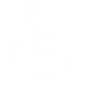 Disabilità